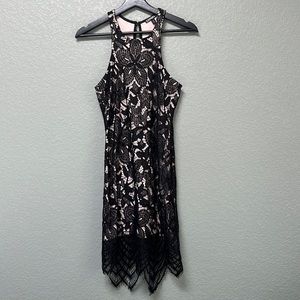 Express Mini Sheath Lace Dress